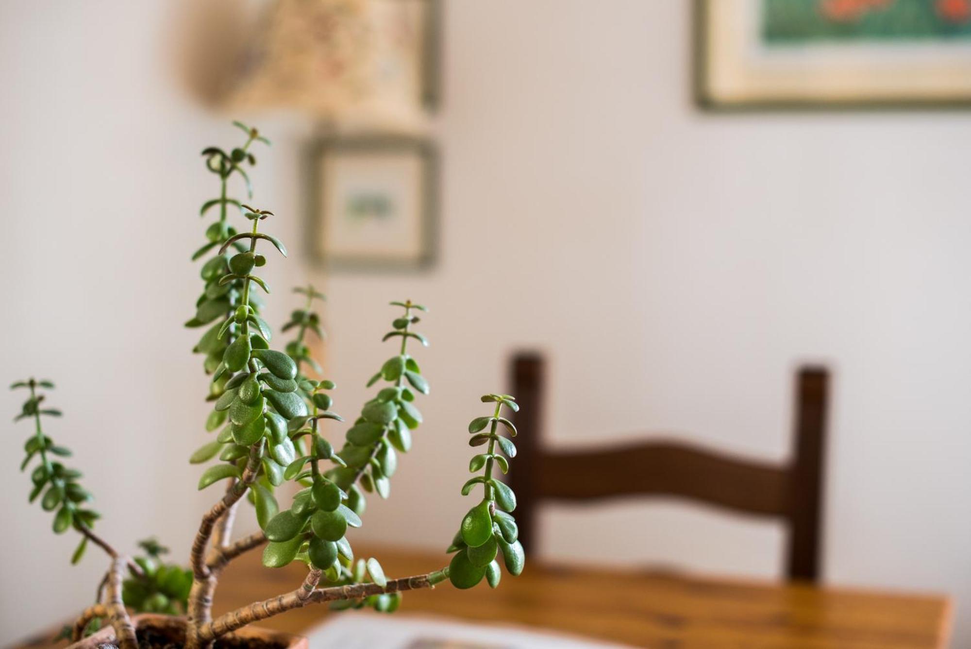 Secret Garden Siena别墅 外观 照片